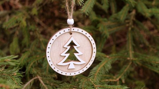 Nie wiesz co zrobić z choinką po świętach? W Ostrowcu są dwa punkty, gdzie można ją oddać i zutylizować 