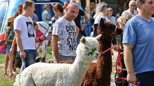 Niedziela ze św. Franciszkiem w Tokarni