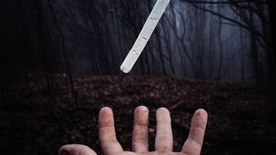 Nielegalna wytwórnia wyrobów tytoniowych zlikwidowana - sukces staszowskich i kieleckich policjantów