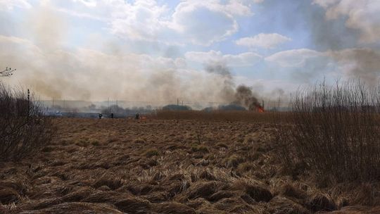 Niesławny sezon wypalania traw rozpoczęty