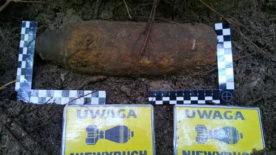 Niewybuchy na terenie Leśnictwa Krynki