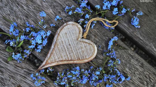 Niezapomniany Dzień Dziecka nad Zalewem Andrzejówka