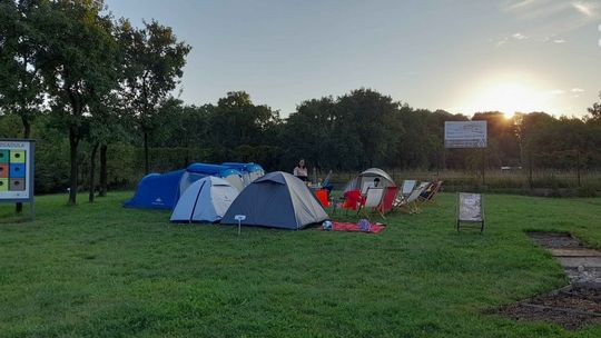 Noc pod gwiazdami. Ruszyły zapisy na zBIWAKowani IV w kieleckim Ogrodzie Botanicznym