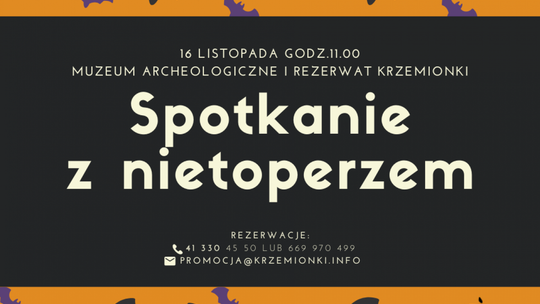 Nocny łowca - poznaj nietoperza