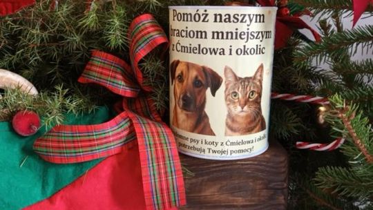 Nowa restauracja w Ćmielowie organizuje świąteczną zbiórkę dla bezdomnych zwierząt