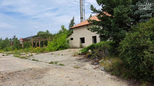 Nowe firmy lokują swoje siedziby w Ostrowcu 