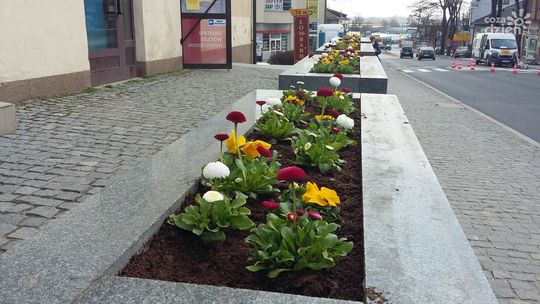 Nowe oblicze ostrowieckiego Rynku