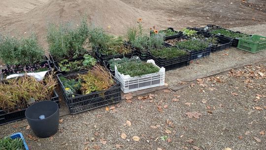 Nowe oblicze Parku w Niemienicach 