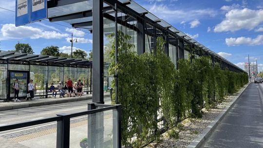 Nowoczesne i funkcjonale, takie mają być nowe przystanki w Sandomierzu