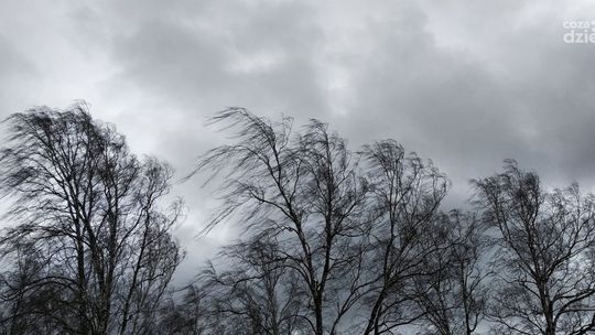 Oblodzenie, silny wiatr i marznące opady w Kielcach