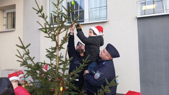 Odblaskowa choinka w Pińczowie