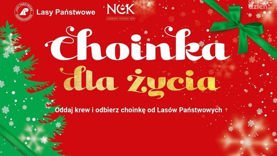 Oddaj krew i odbierz choinkę 