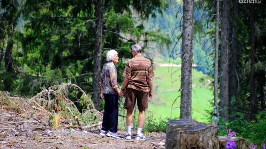 Odnaleźli 83-latkę. Seniorka zgubiła się w lesie podczas grzybobrania