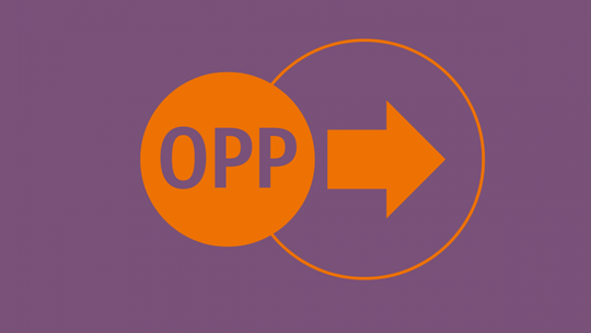 Oferta dla ostrowieckich organizacji  pożytku publicznego 