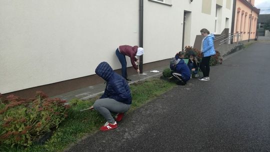 Ogród edukacyjny w Osinach 