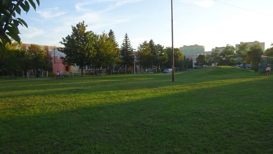 "Ogrody zdrowia" na Ogrodach w Ostrowcu Świętokrzyskim