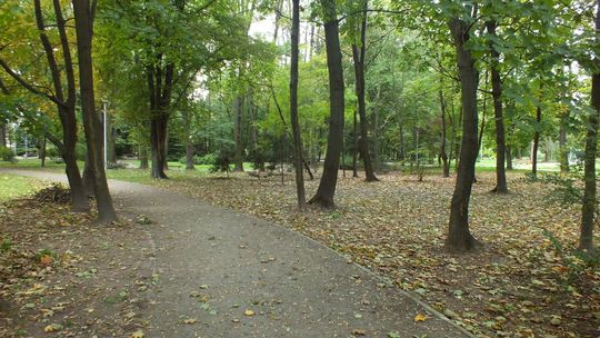 Oj, chyba widzieliśmy jesień w Ostrowcu...