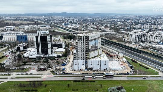 Okolica ulicy Uniwersyteckiej nabiera kolorów 