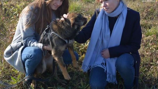 OPATÓW - wspaniały gest licealistów 