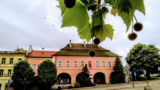 Opatowski magistrat nieczynny we wtorek  