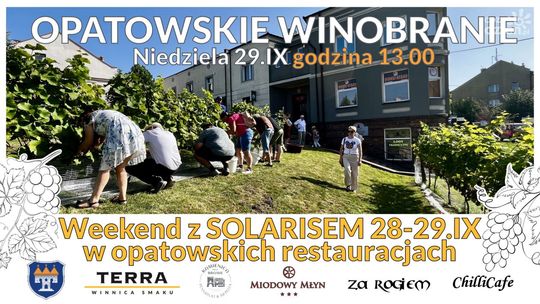 Opatowskie winobranie 