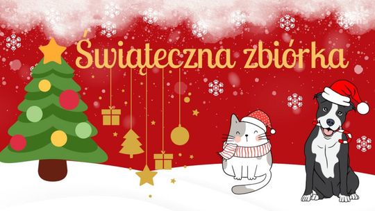 Ostatni dzień akcji Schroniska dla Bezdomnych Zwierząt w Dyminach