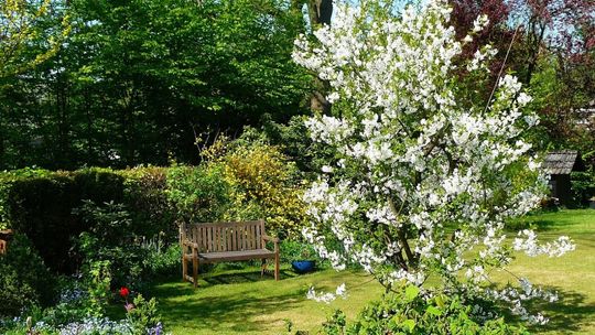Ostatnie chwile na zgłoszenie do konkursu „Najładniejsza posesja” w gminie Morawica