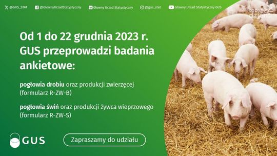 Ostatnie tygodnie badań statystycznych z zakresu rolnictwa