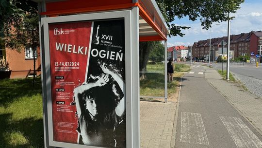 Ostrowiec inwestuje w zielone wiaty i nowoczesny system informacji pasażerskiej