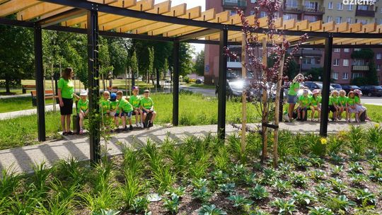 Ostrowiec stawia na parki kieszonkowe 