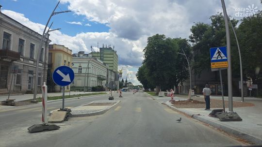 Ostrowiec stawia na uliczną zieleń 