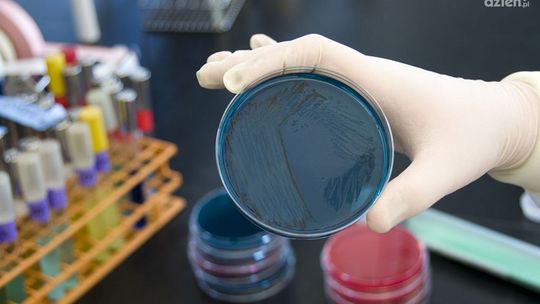 Ostrowiec Św. Obraduje sztab kryzysowy