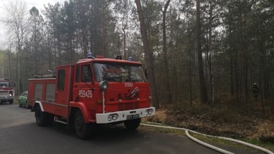 Ostrowiec Św. Plaga pożarów