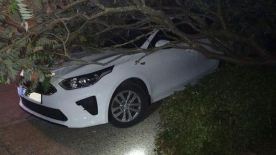 Ostrowieccy strażacy usuwali połamane silnym wiatrem drzewa 