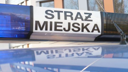 Ostrowiecka Straż Miejska będzie pomagać kierowcom we Wszystkich Świętych