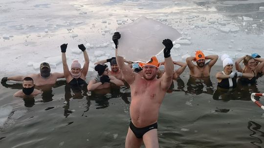 Ostrowieckie morsy i foczki wracają do swojego naturalnego środowiska