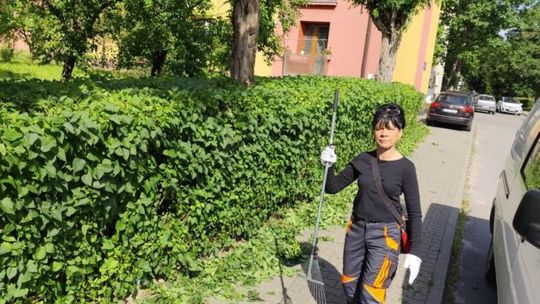 Ostrowieckie spółdzielnie socjalne otwarte na zlecenia nie tylko od samorządów