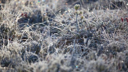 Ostrzeżenie IMGW przed silnym mrozem