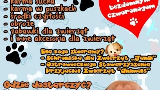 „Paczka dla Zwierzaka” - pomoc dla bezdomnych zwierząt w czasie mrozów