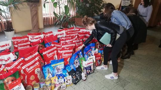 Padł rekord zbiórki karmy w "Staszicu"