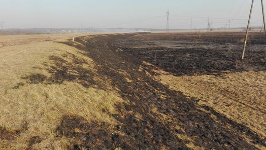 Palący problem - wypalanie traw