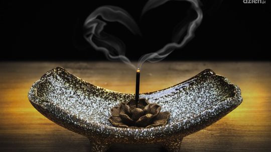 Palo Santo - święte drzewo o niezwykłych właściwościach