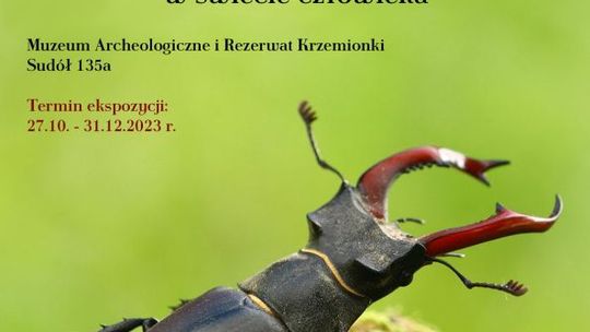 Pancerni władcy lasów - wystawa w muzeum w Krzemionkach 