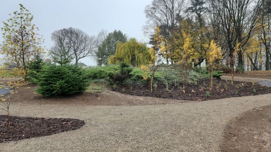 Park w Niemienicach zmienił oblicze