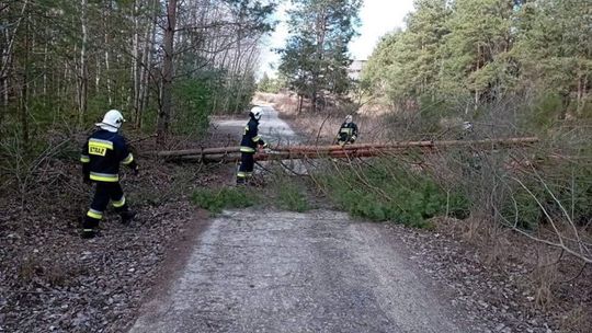 Pełna gotowość ostrowieckich strażaków 