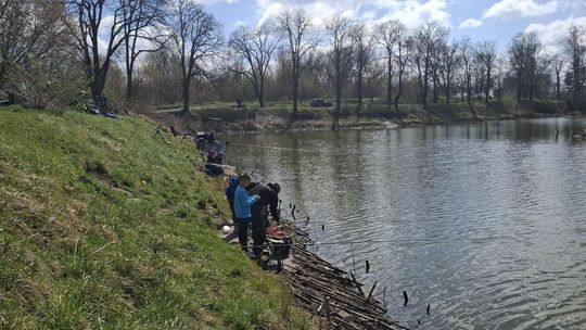 Peryferia Ostrowca przechodzą rewitalizację dzięki Budżetowi Ostrowieckiemu