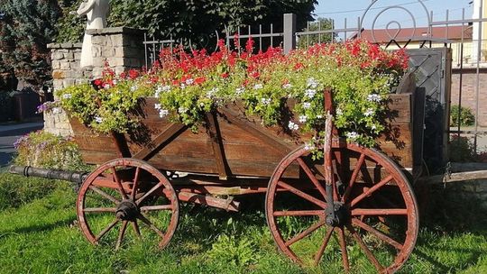 "Piękna i bezpieczna zagroda"- kolejna edycja konkursu 