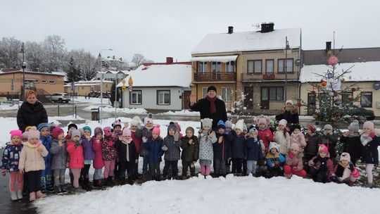 Piękne drzewka na kunowskim Rynku