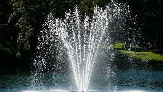 Piękno, które może zabijać