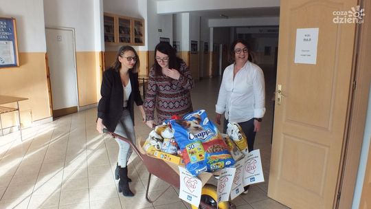 Pierwszy dzień finału akcji "Paczka dla zwierzaczka"